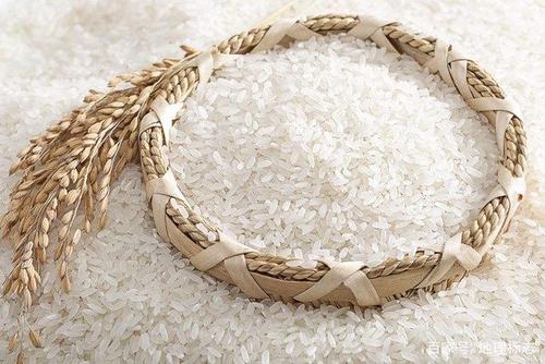 這三種食物放進冰箱有毒且致癌?現在看還不晚