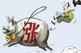 豬肉供應(yīng)量斷崖式下跌，肉價將開啟全面大漲