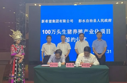 新希望六和落子渝豫甘，生豬規模再增200萬頭！