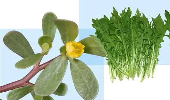 1567390144542630.png ~US6UR(PQ80I4NHD7D1K9}S.png