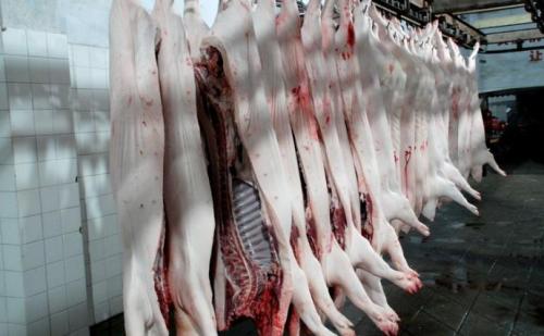 視頻丨嚴、精、快、準！正大集團的豬肉屠宰加工流程