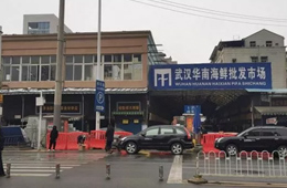 武漢華南海鮮市場元旦起休市，恢復營業時間未定