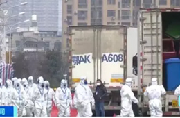 武漢華南海鮮市場完成大規模消殺；牛蛙、烏龜不列入禁食范圍