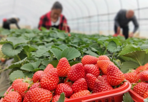 1583910281513866.png ~V_084(D`9A2C@XI%U5~MNH.png