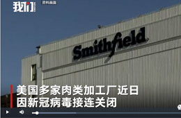 史密斯菲爾德、泰森等國外肉類巨頭停工，或引發全球“肉慌”？