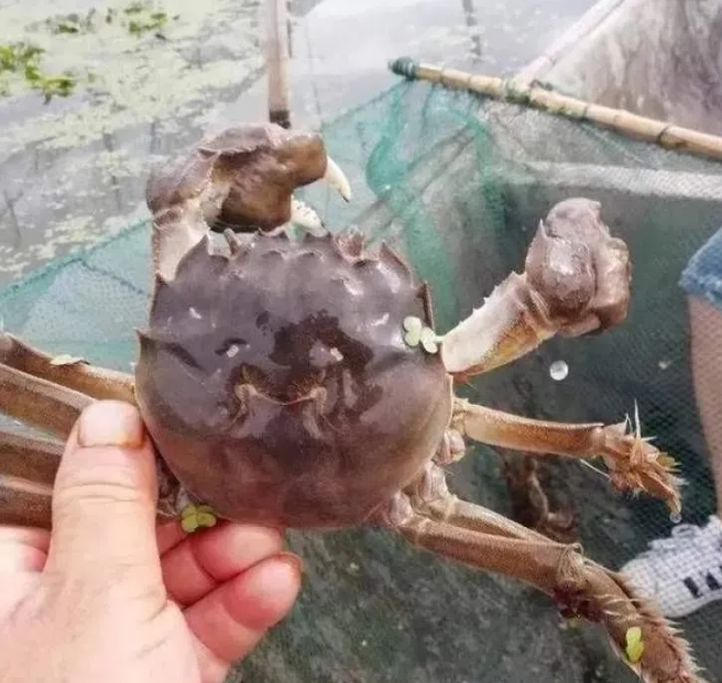 1602230750644763.png 1602230750644763.png