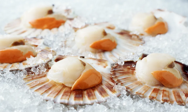 1603182812182268.png J3Z8UYHQ0XBKG67[1@$OD}1.png