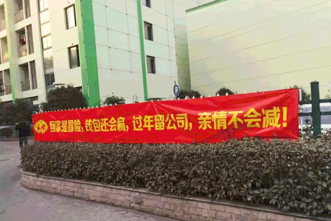 1611020918553262.gif 1611020918553262.gif