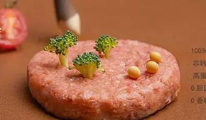 對(duì)話拉絲蛋白巨頭：植物肉是一場(chǎng)飲食革命，大眾消費(fèi)是方向