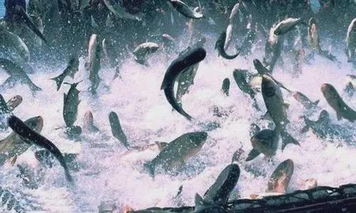 1620784948654261.jpg 微信圖片_20210512092734.jpg