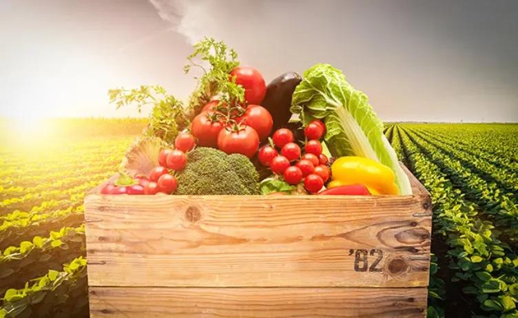 1631585040496287.jpg 1631585040496287.jpg