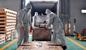 全國28個省份已建成869個集中監管倉，進口冷鏈“國家平臺”將升級2.0版