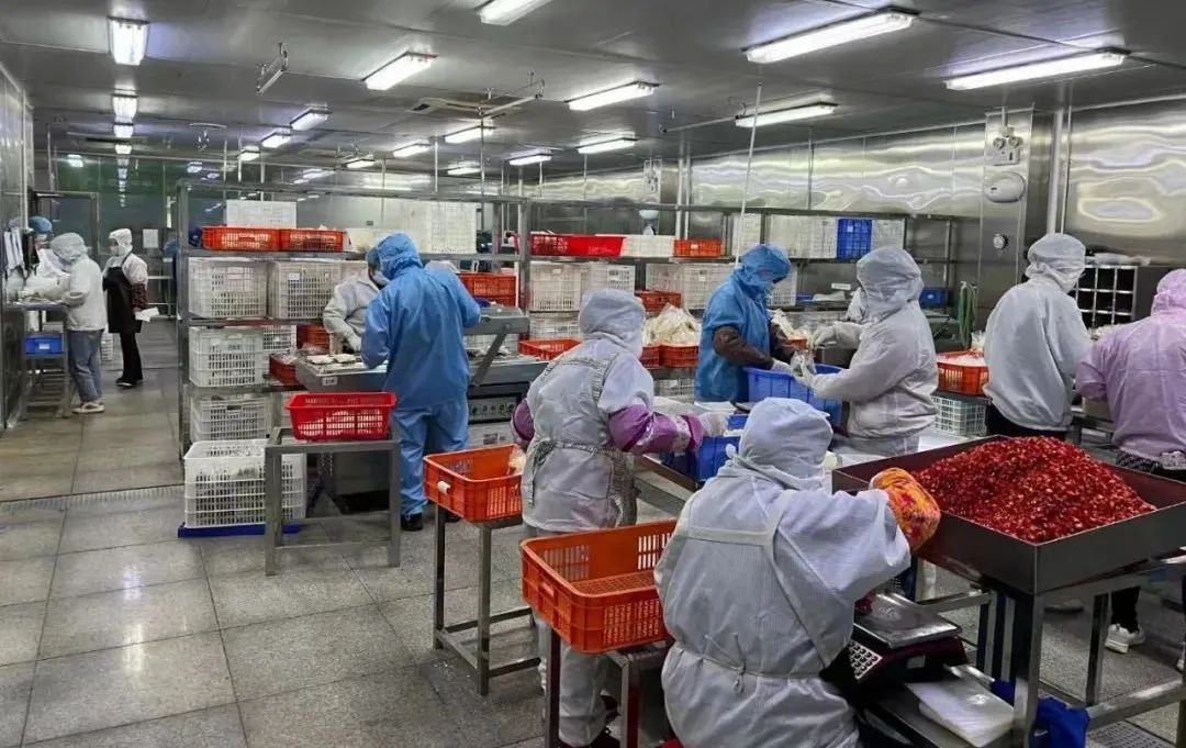 1647912164992472.jpg 1647912164992472.jpg