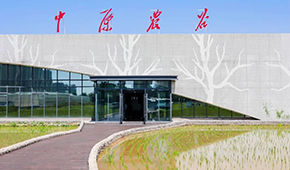 打造千億級種業(yè)和糧食產業(yè)集群，河南“中原農谷”雛形初現(xiàn)