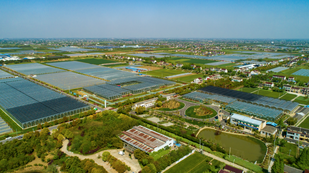 1700185988191110.png 1700185988191110.png