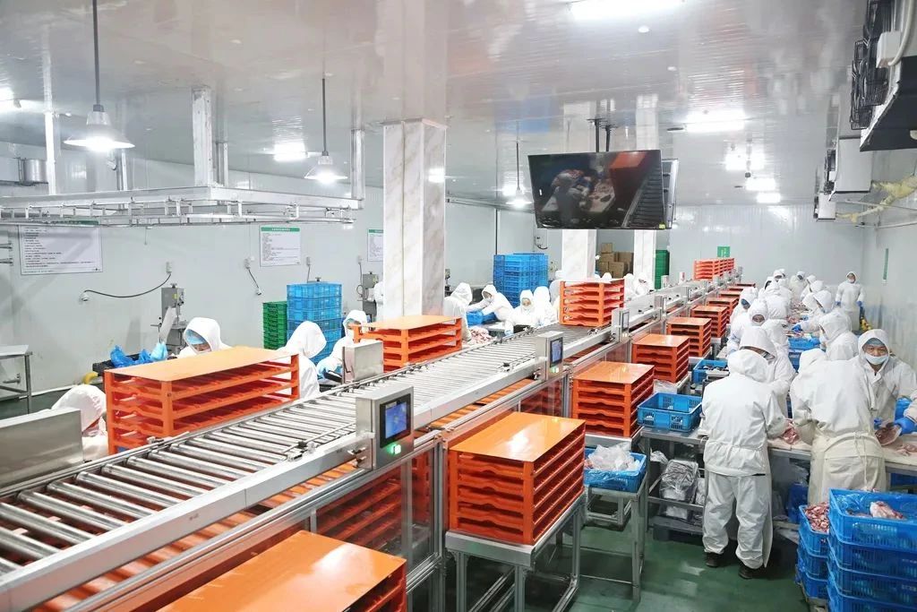 1700186223595766.jpg 1700186223595766.jpg