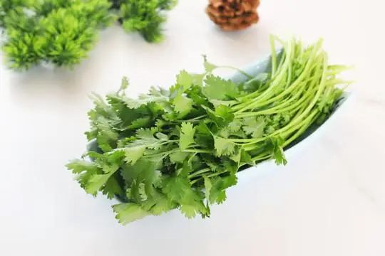 1729041920354101.jpg 微信圖片_20241016091652.jpg