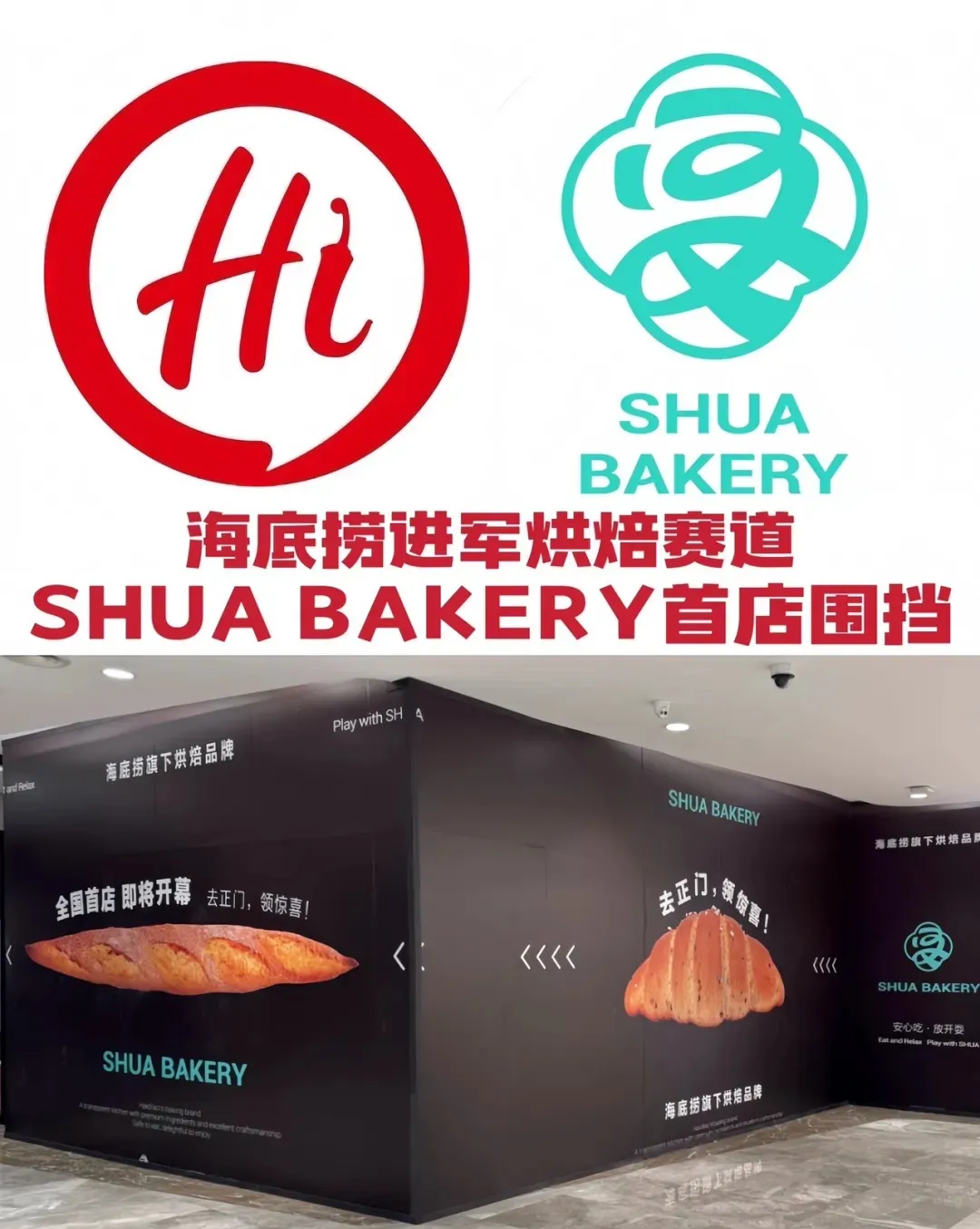 1741138917543392.png 1741138917543392.png