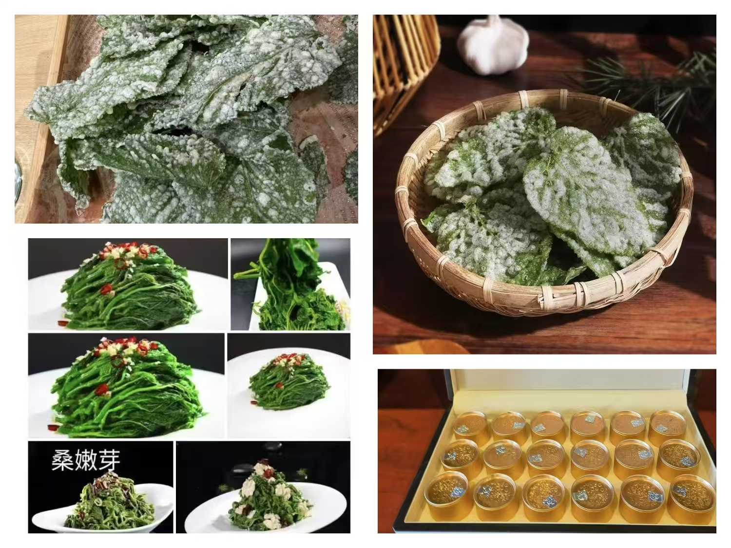 1743994160793233.jpg 1743994160793233.jpg