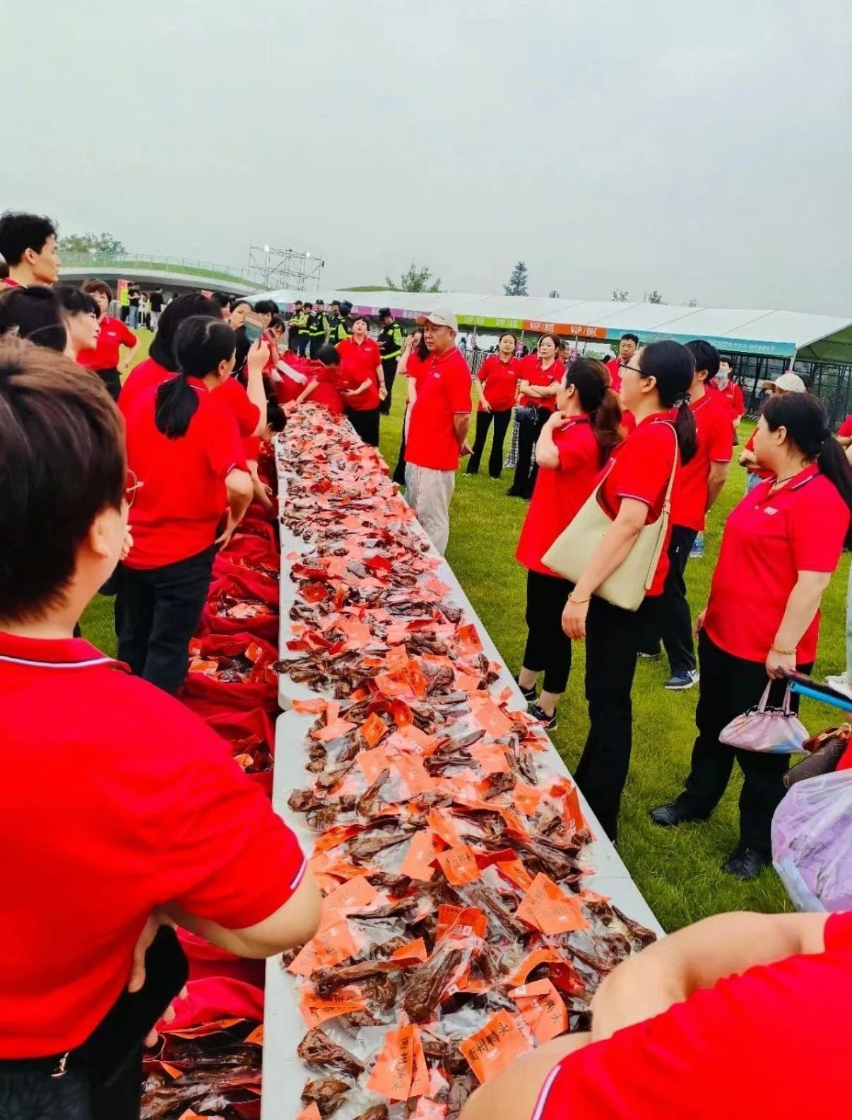 1750124019356241.jpg 1750124019356241.jpg