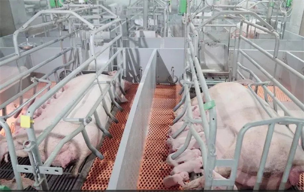 1754029743503671.jpg 微信圖片_2025-08-01_141335_793.jpg