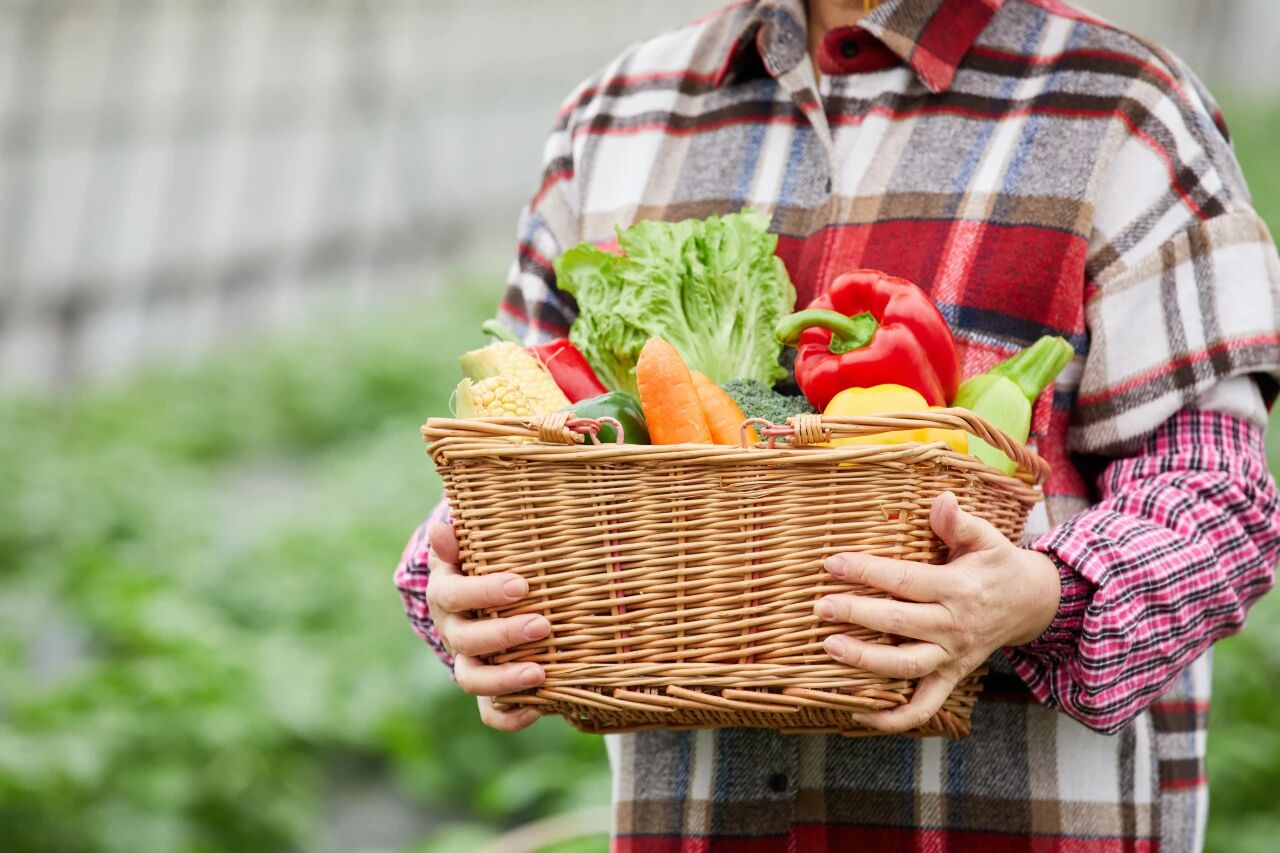 1757381787917857.jpg 1757381787917857.jpg