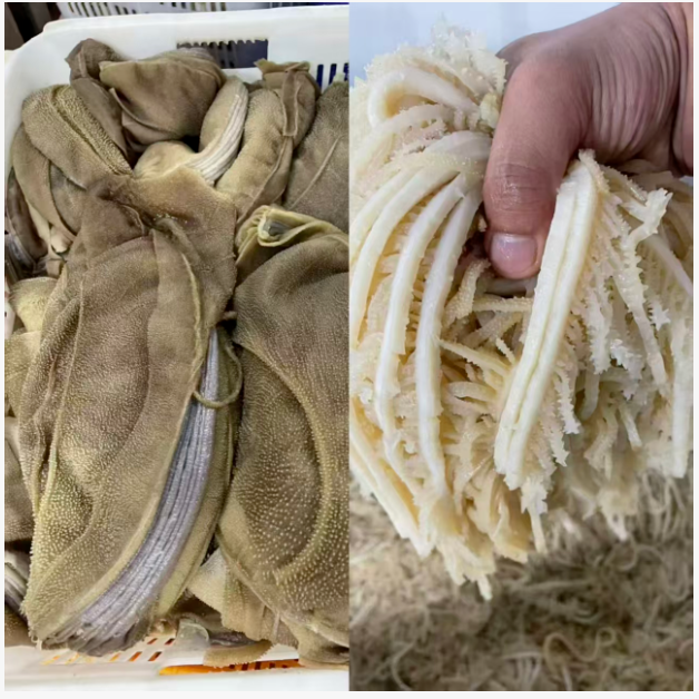 1763432482151277.png image.png