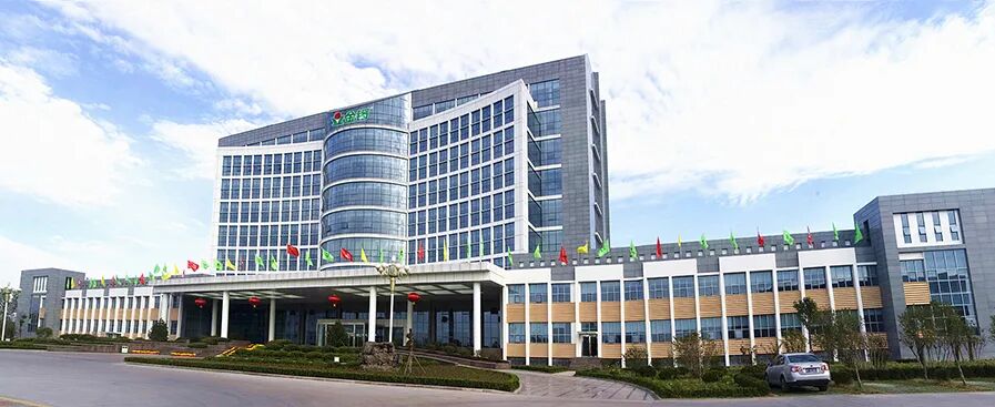 1765504810600175.jpg 1765504810600175.jpg