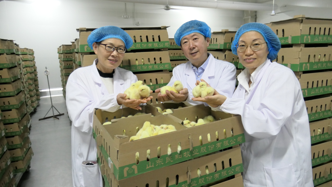 1765505163311249.png 1765505163311249.png