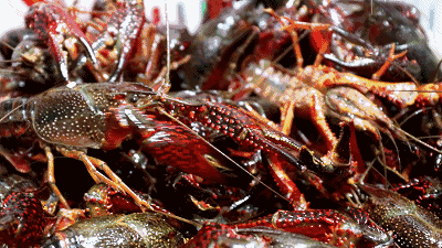 1775009606694592.jpg 9769b10670e81c955fb43dca0922a1c6.jpg